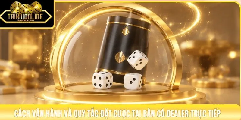 Cách vận hành và quy tắc đặt cược tại bàn có dealer trực tiếp