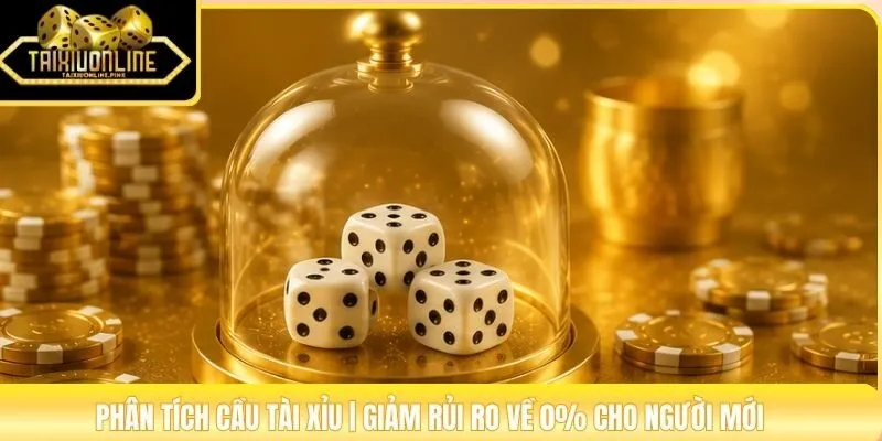 Phân Tích Cầu Tài Xỉu | Giảm Rủi Ro Về 0% Cho Người Mới