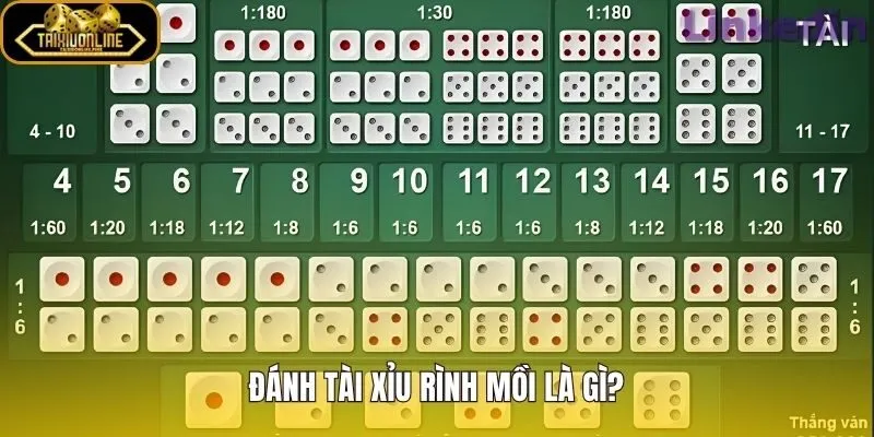 Đánh tài xỉu rình mồi với nhịp cầu và điểm vào tiền